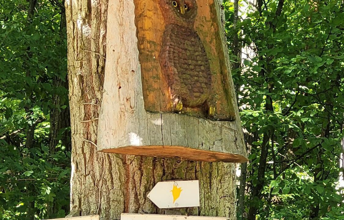 Photo of Outdoor in Mittelbergheim