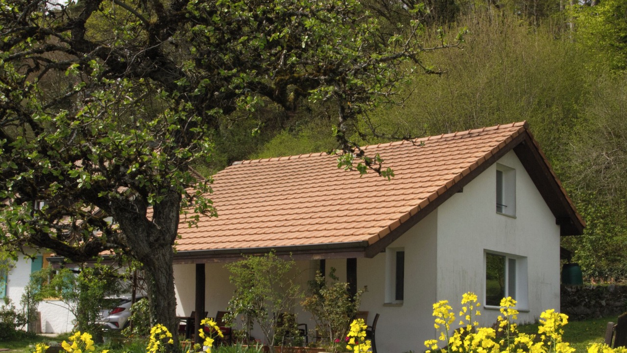Photo of Outdoor in Montmollin