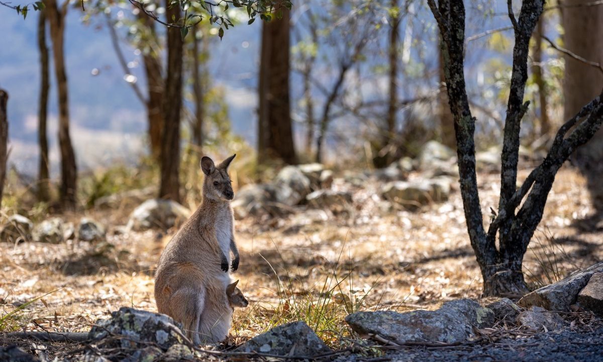 Photo of Others in Vacy