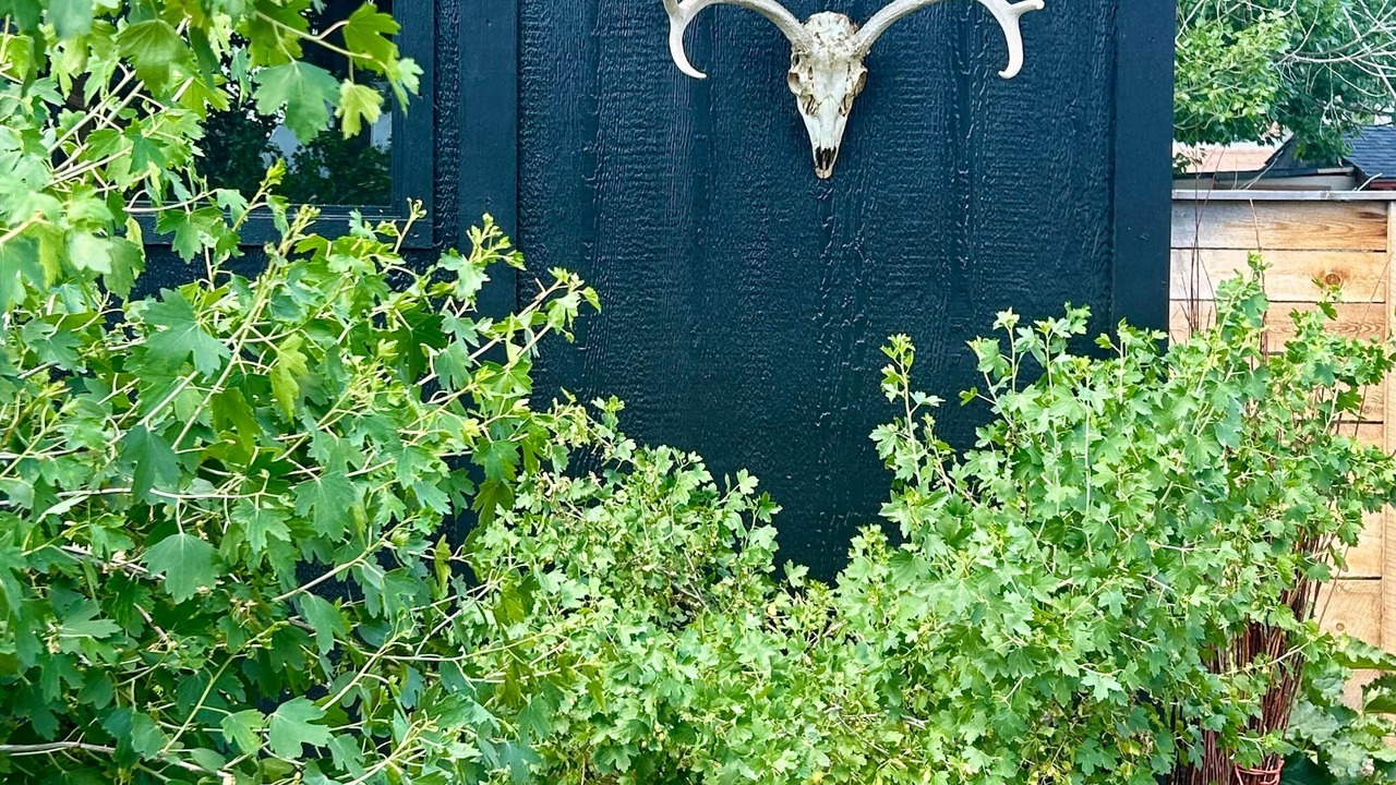Photo of Outdoor in Laramie
