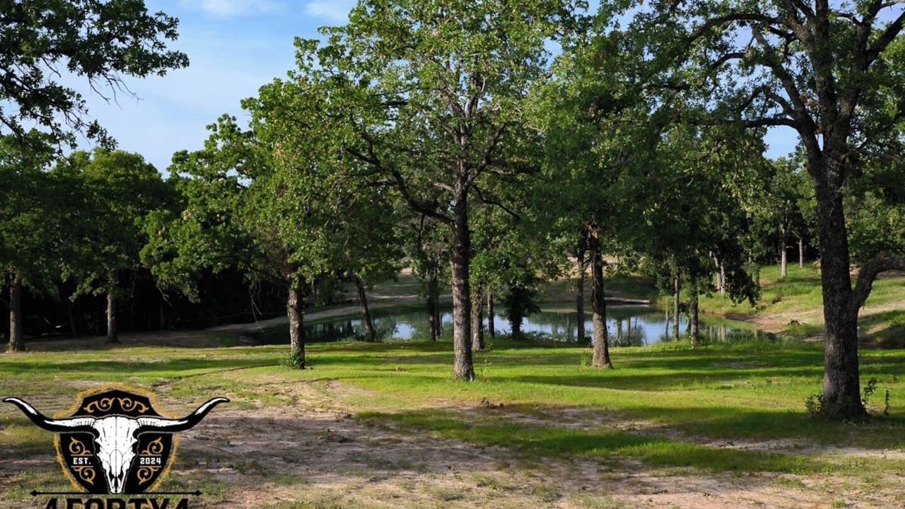 Photo of Others in Alvord