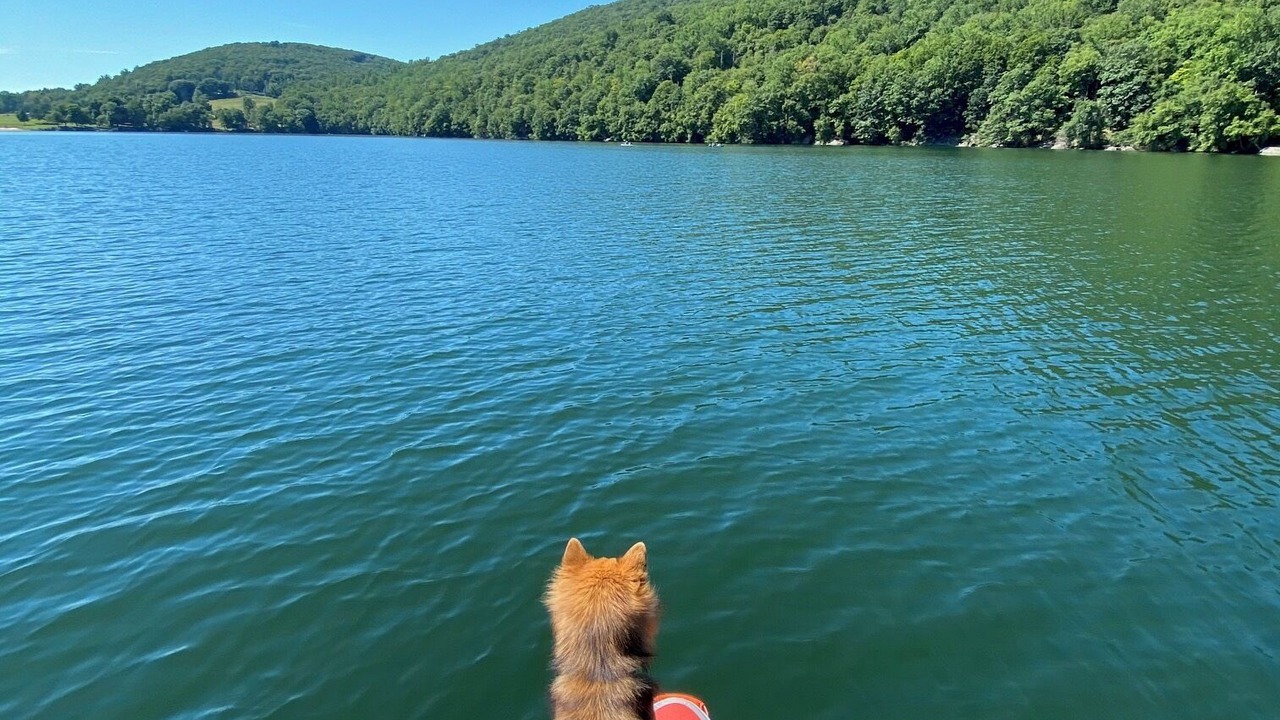 Photo of Others in New Fairfield