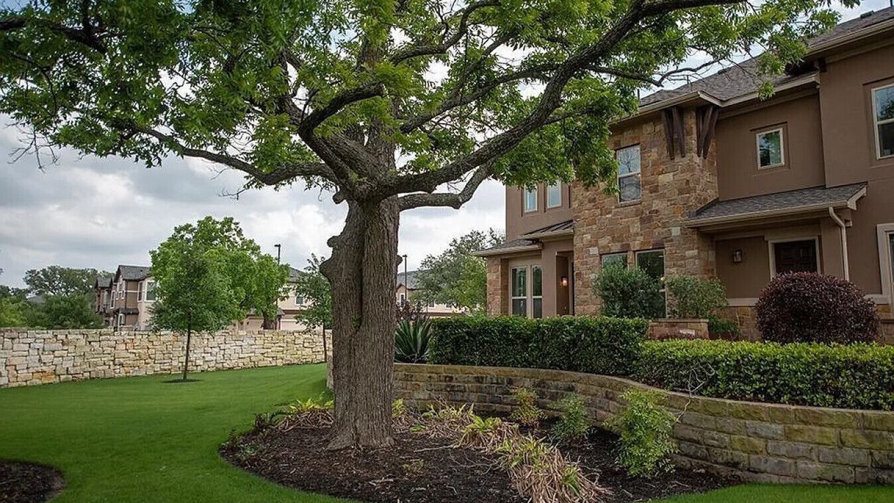 Photo of Others in Cedar Park