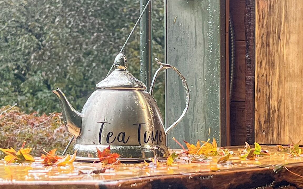 Photo of Outdoor in Stanwood