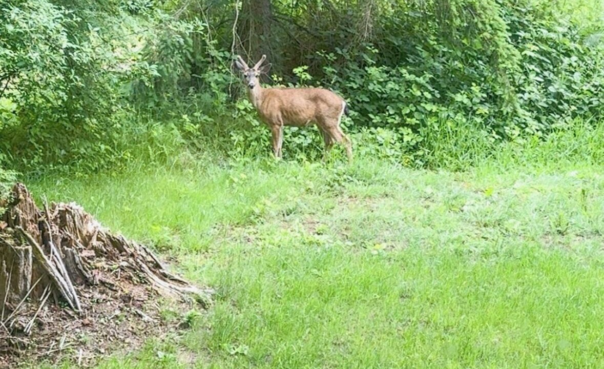 Photo of Others in Stanwood