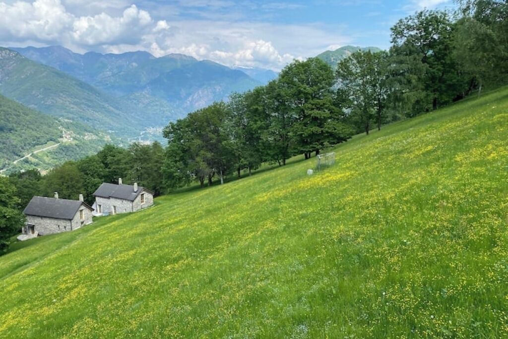 Photo of Outdoor in Centovalli