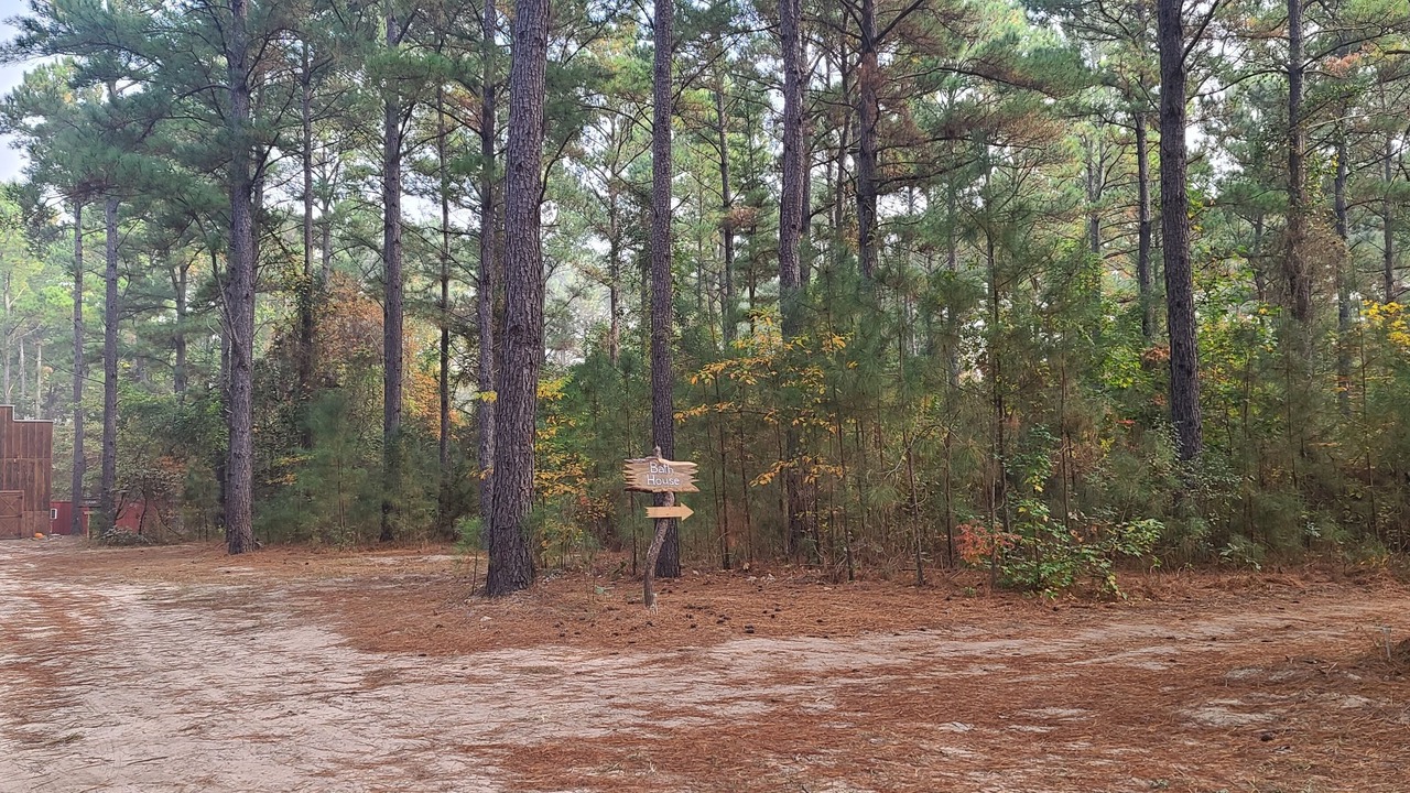 Photo of Outdoor in Mineola