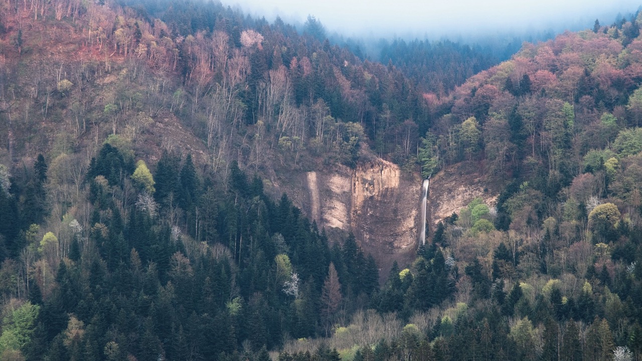Photo of Others in Saint-Joseph-de-Riviere