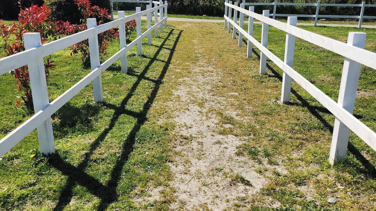 Photo of Others in Maisonnais