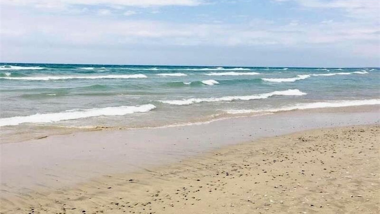 Photo of Others in Sauble Beach