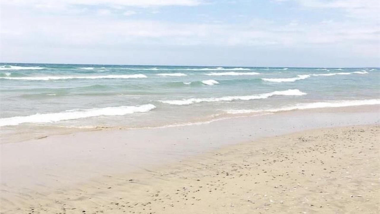Photo of Others in Sauble Beach