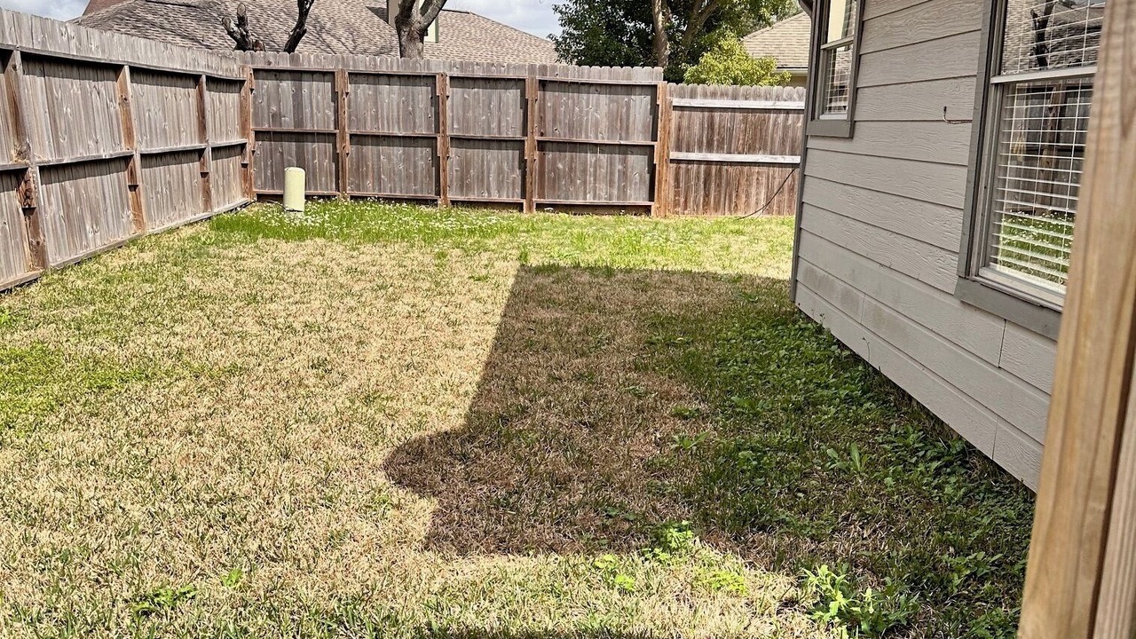 Photo of Outdoor in Lake Jackson