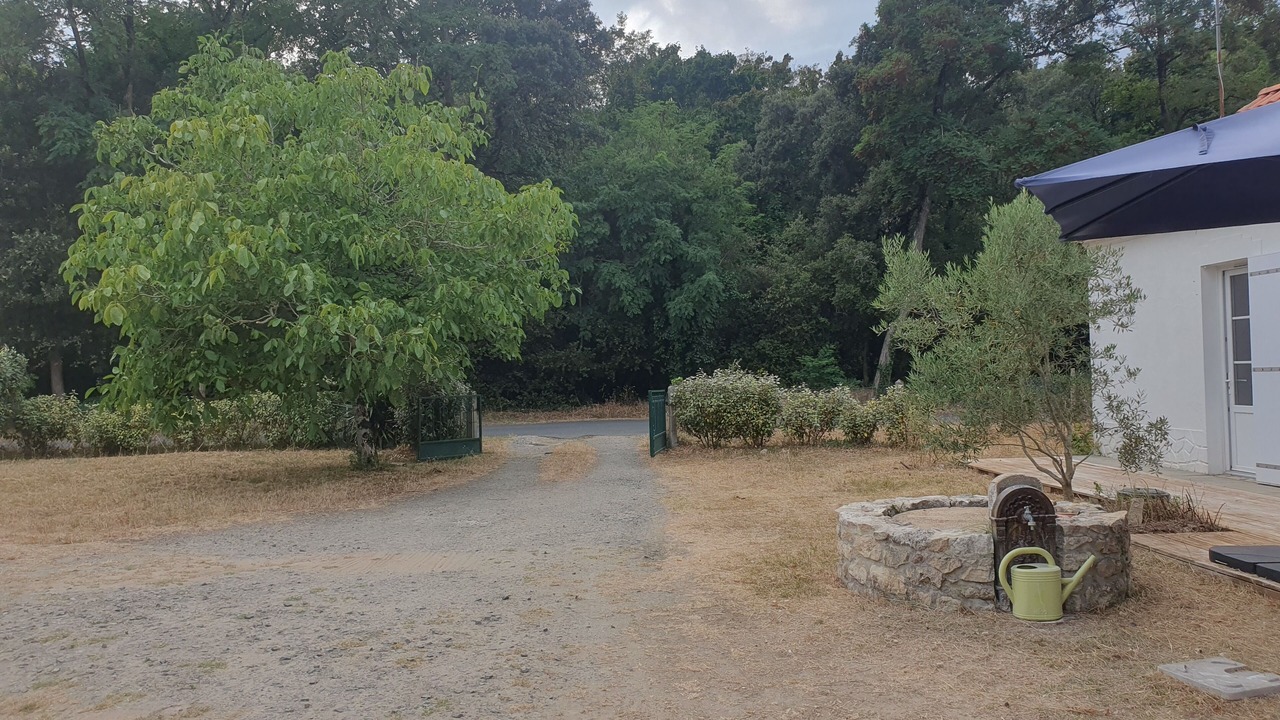 Photo of Outdoor in La Barre-de-Monts