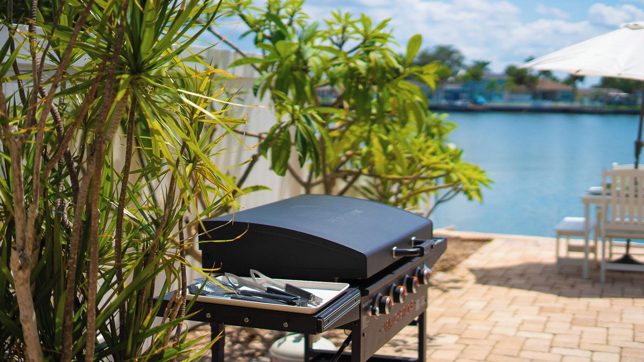 Photo of Outdoor in Indian Rocks Beach
