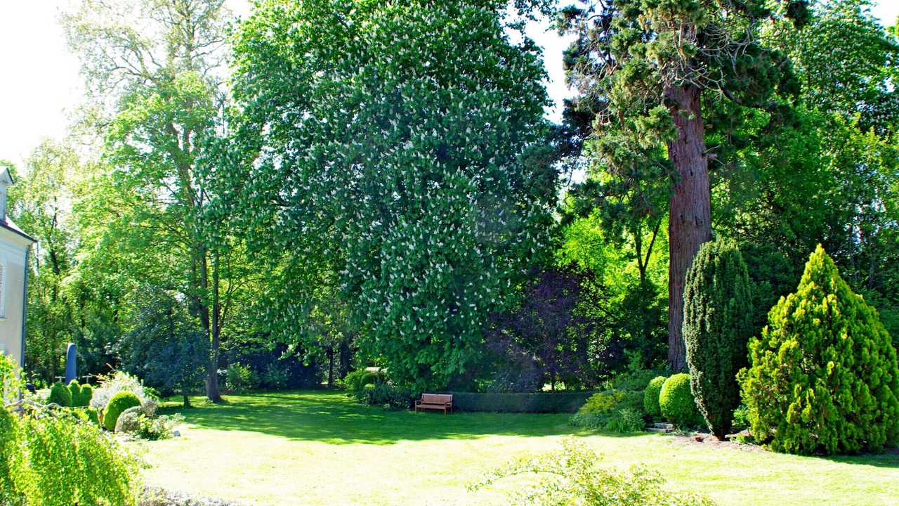 Photo of Outdoor in La Menitre