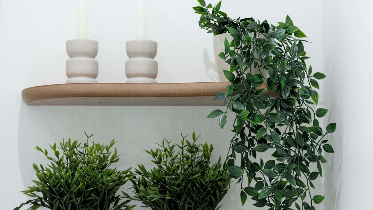 Photo of Others in Nemours