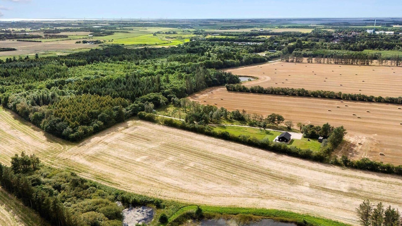 Photo of Outdoor in Ringkobing