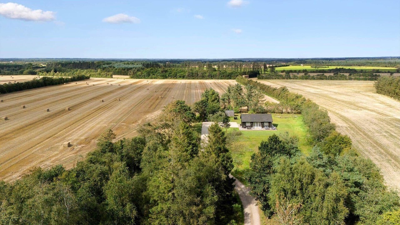 Photo of Outdoor in Ringkobing