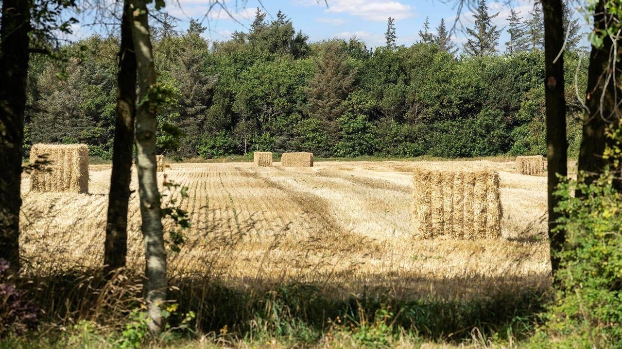 Photo of Others in Ringkobing