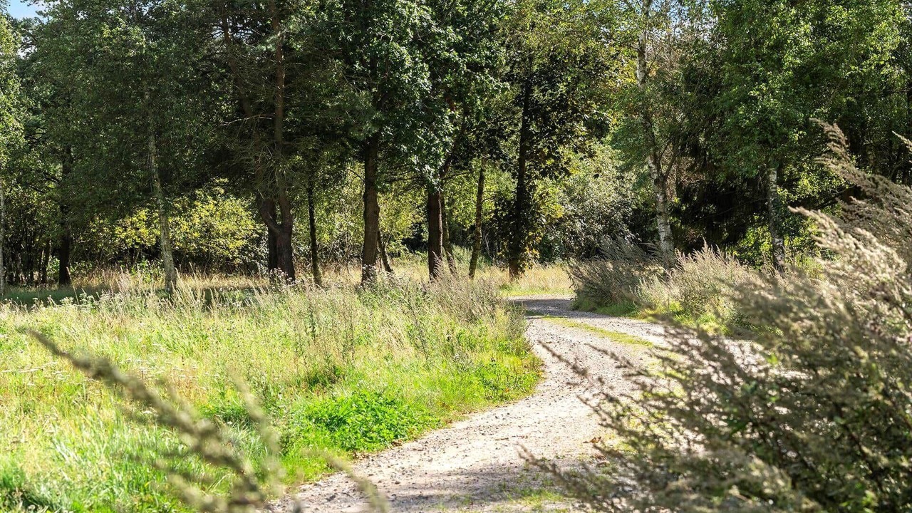 Photo of Others in Ringkobing