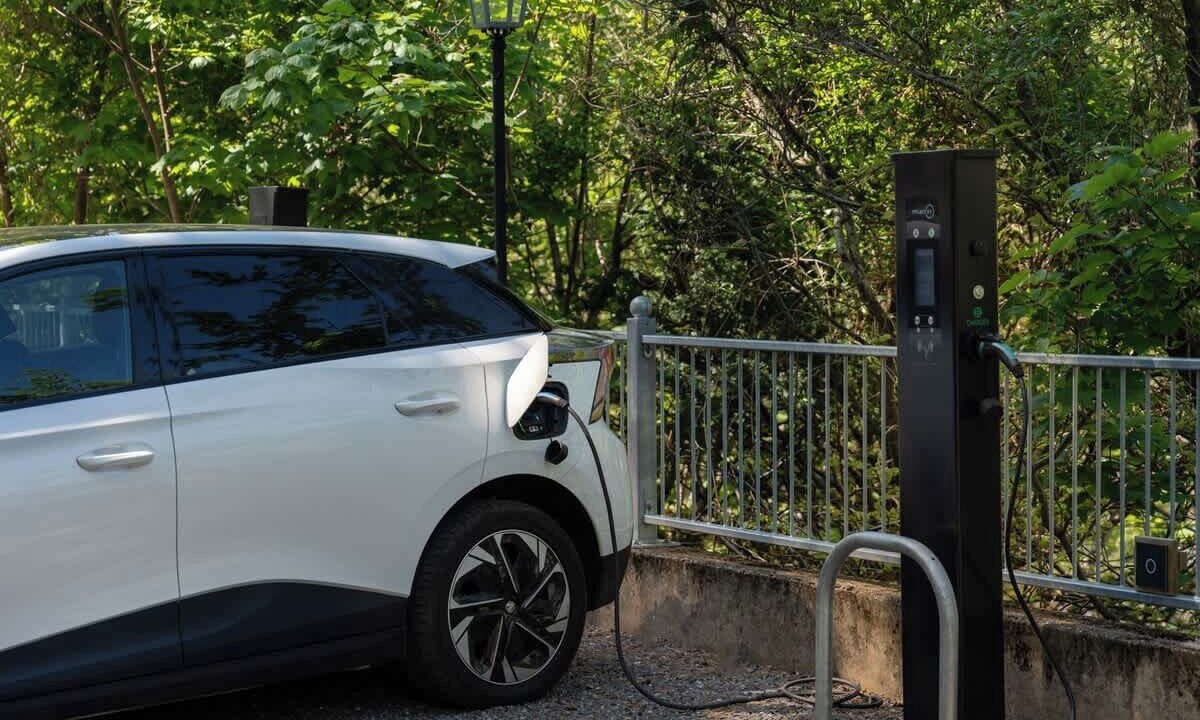 Photo of Others in Lynmouth