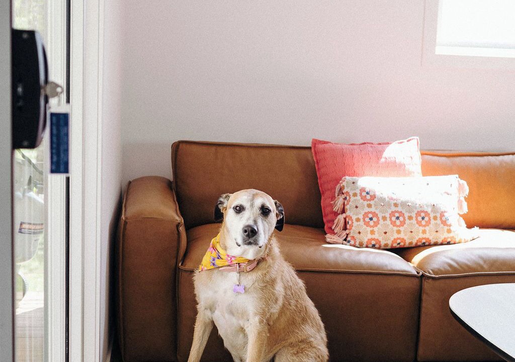 Photo of Bedroom in Bridgewater on Loddon