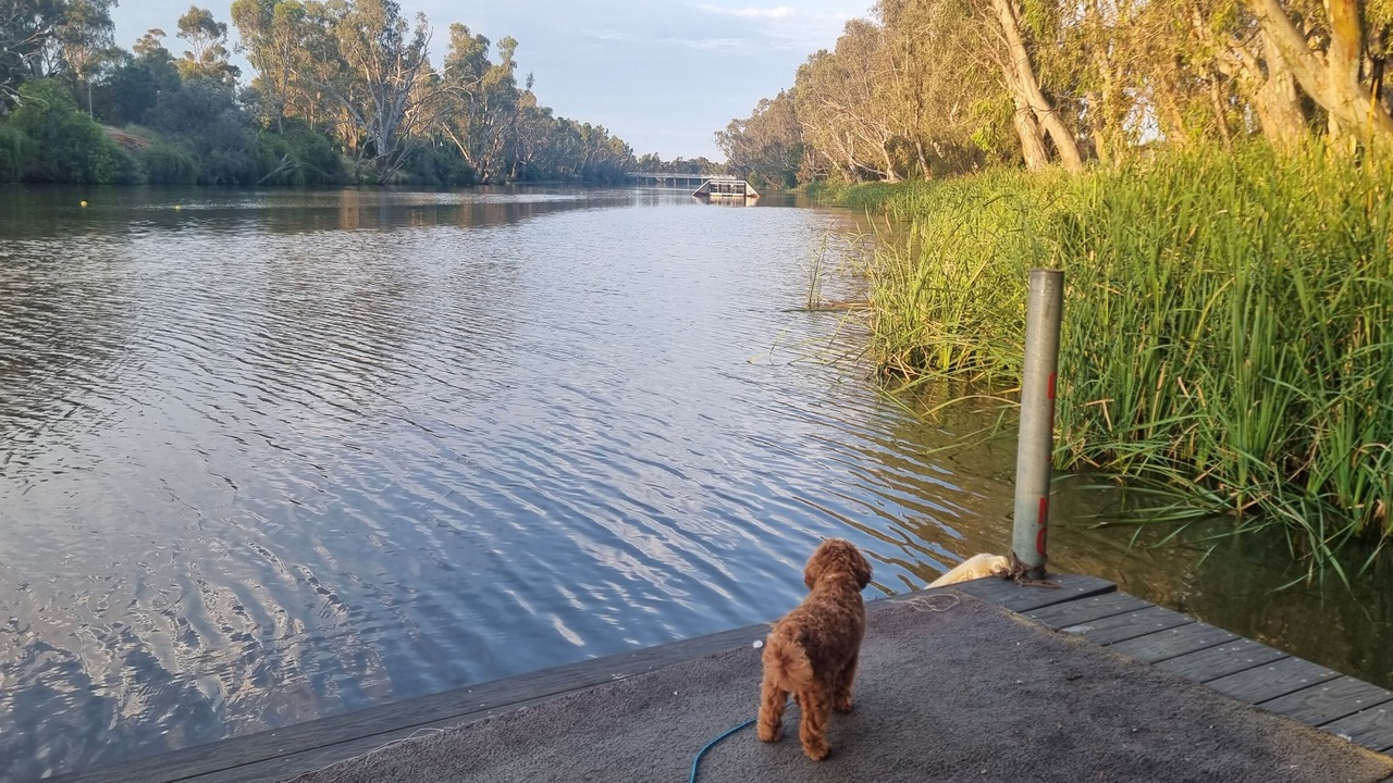Photo of Others in Bridgewater on Loddon