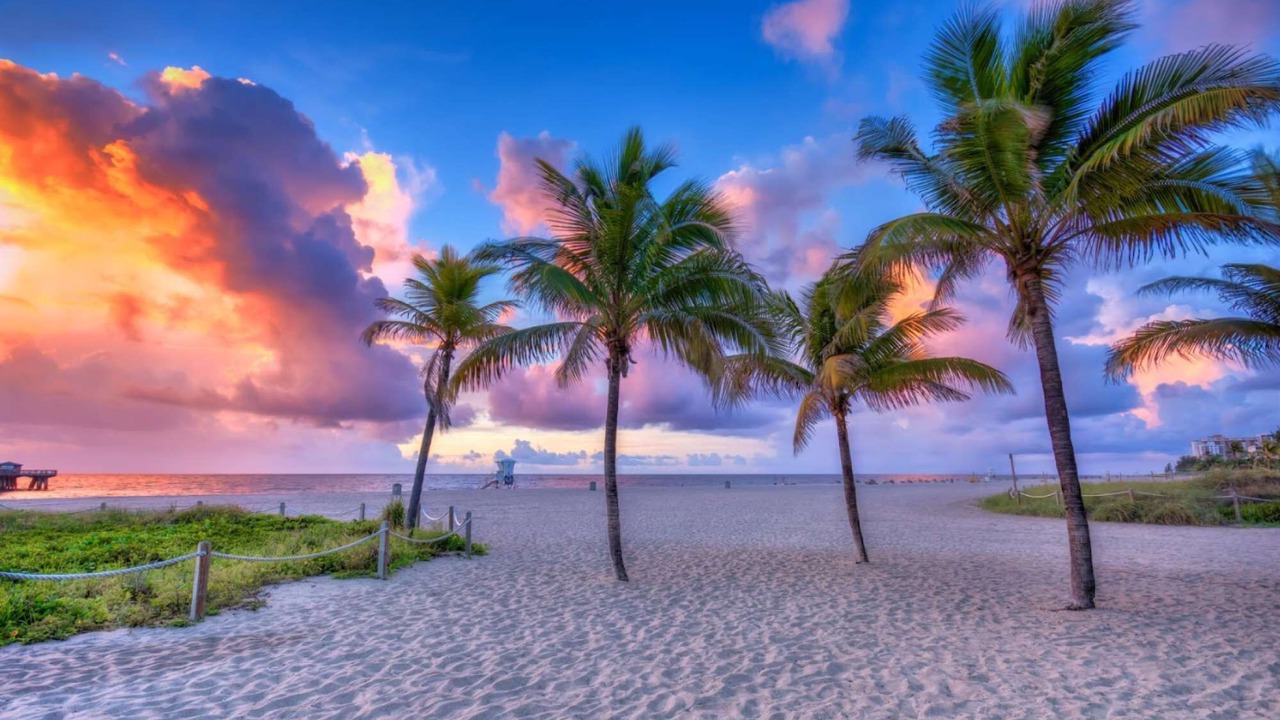 Photo of Others in Pompano Beach