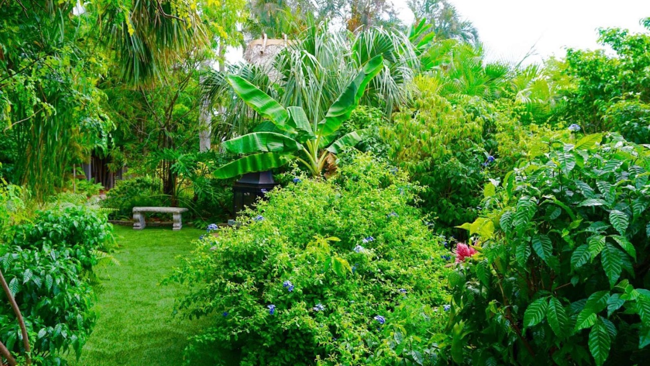 Photo of Outdoor in Pompano Beach