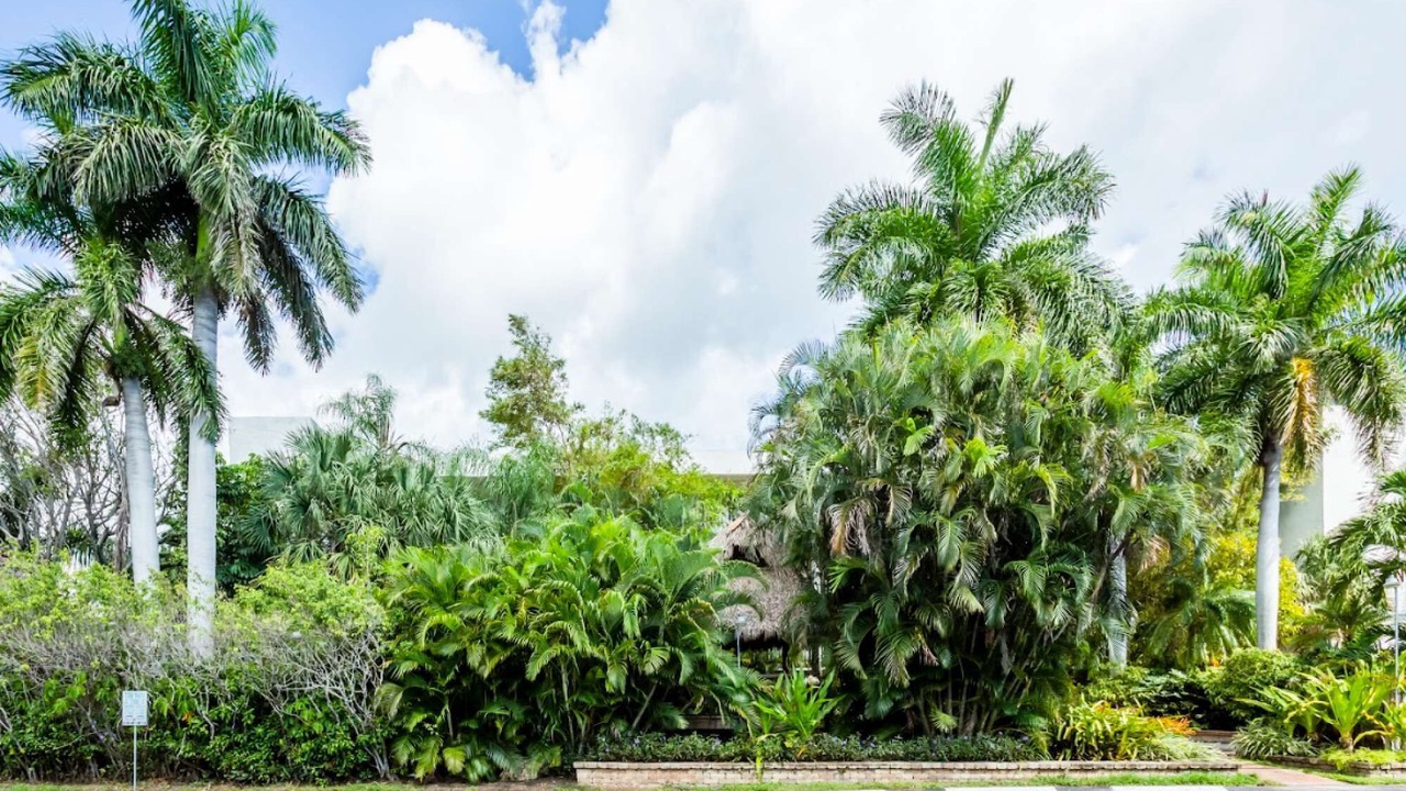 Photo of Outdoor in Pompano Beach