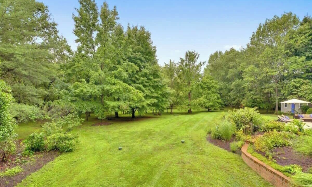 Photo of Outdoor in Blue Ridge
