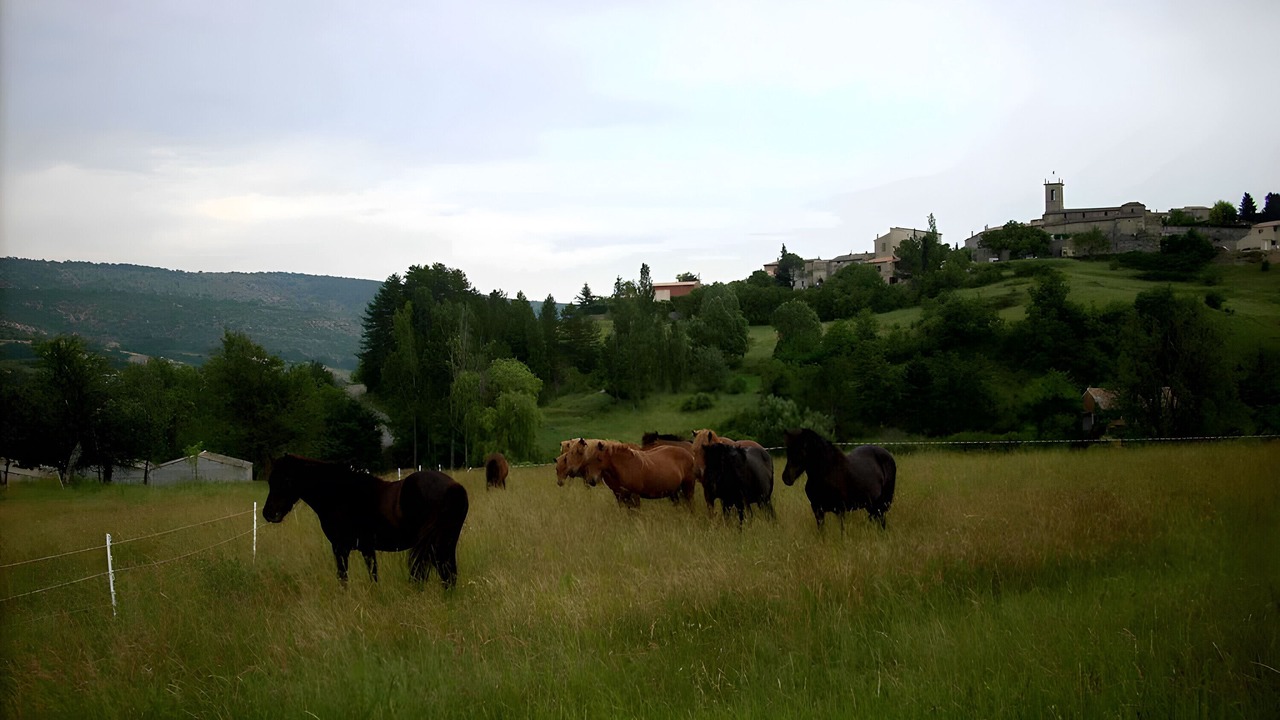 Photo of Others in Revest-des-Brousses