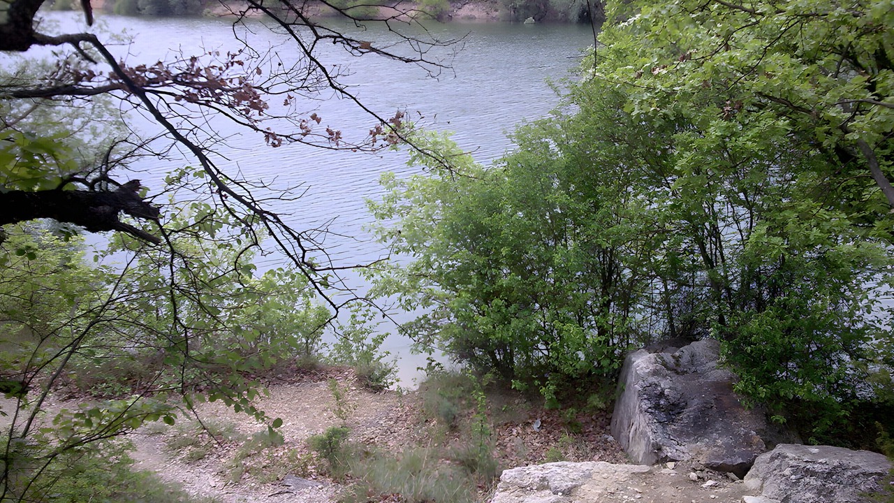 Photo of Others in Revest-des-Brousses