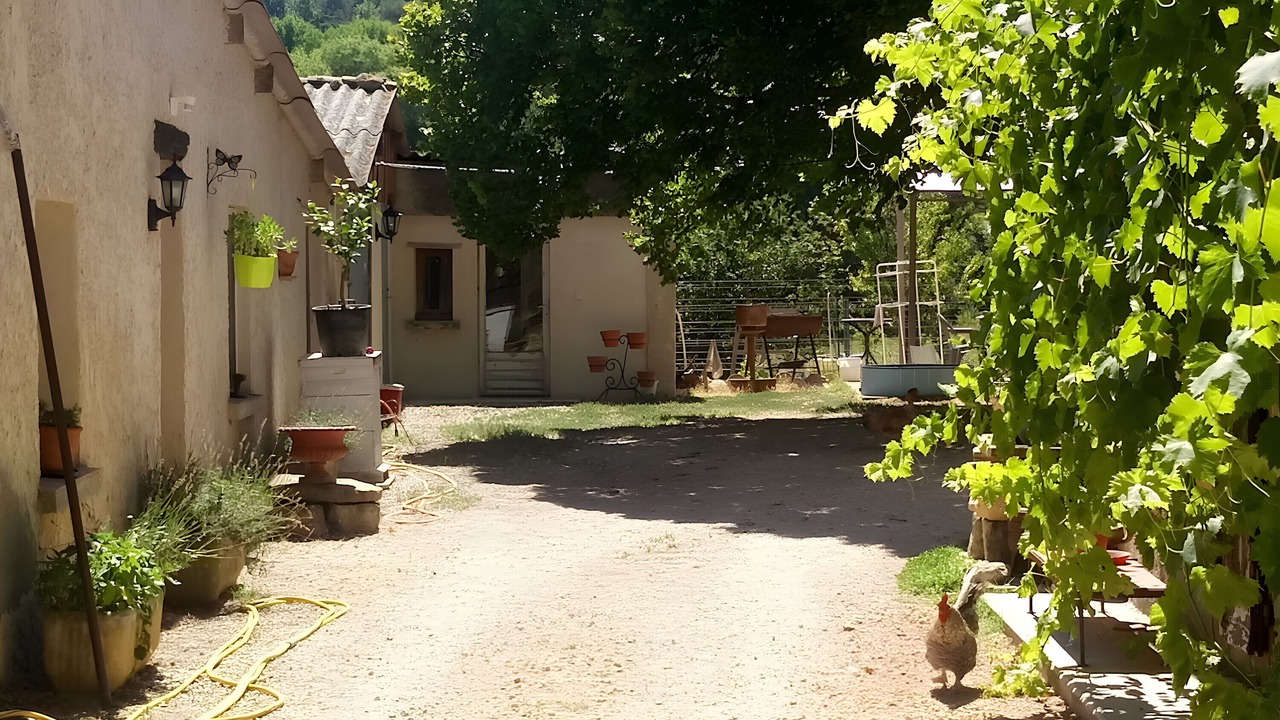 Photo of Outdoor in Revest-des-Brousses
