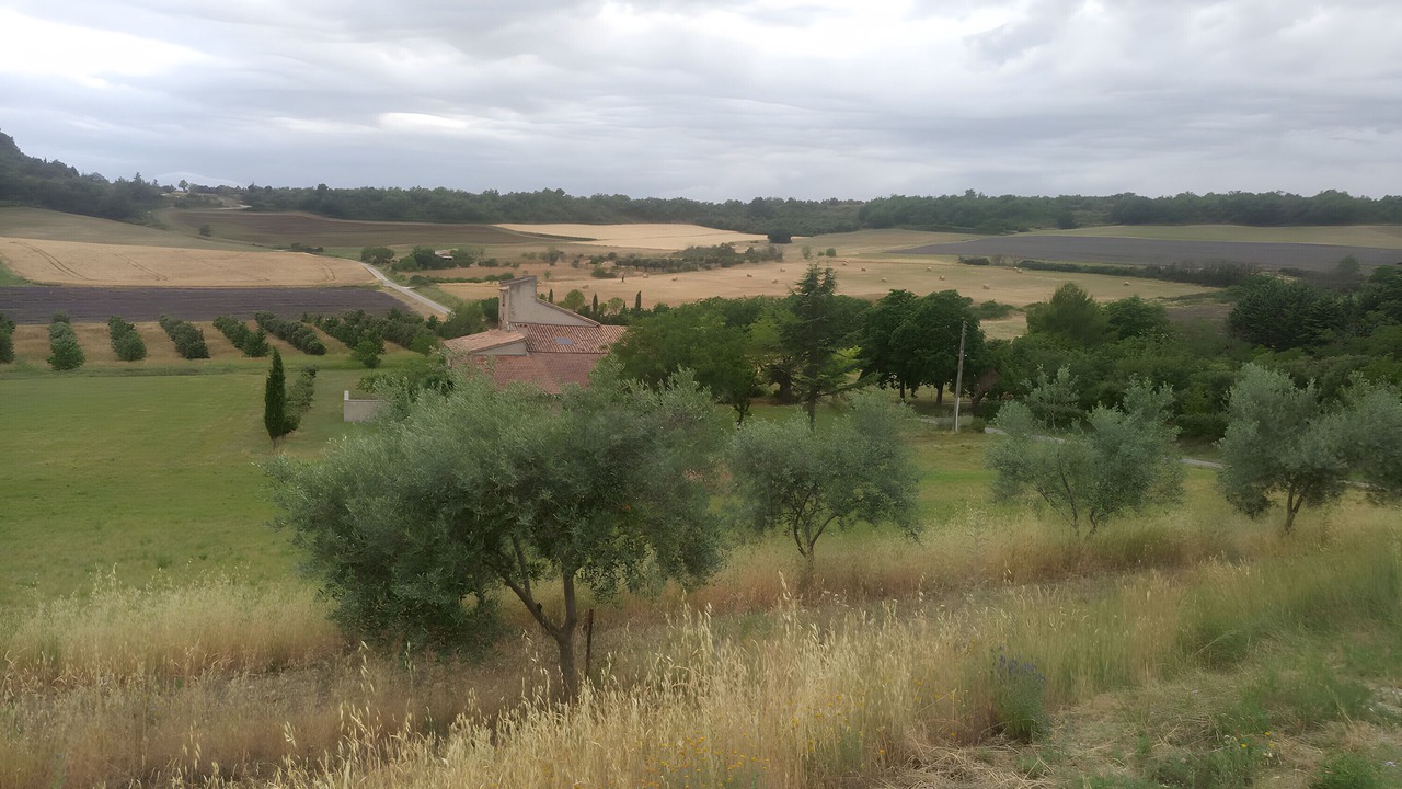 Photo of Others in Revest-des-Brousses