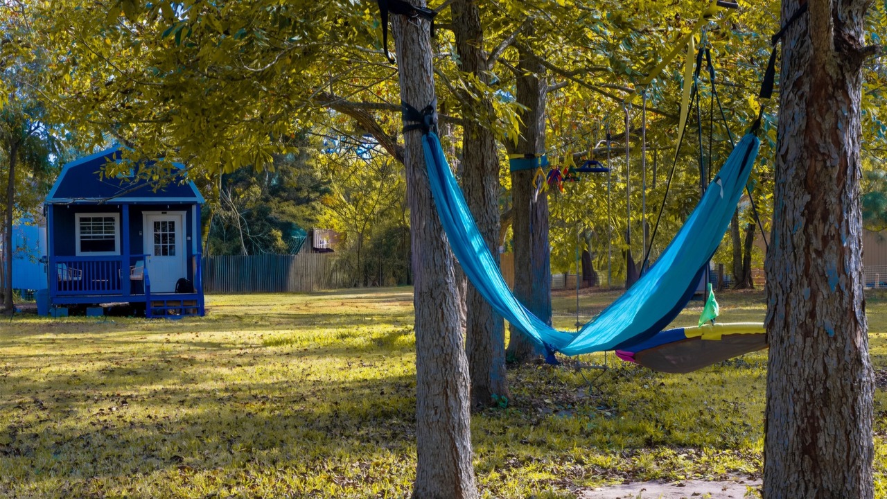 Photo of Outdoor in Alvin