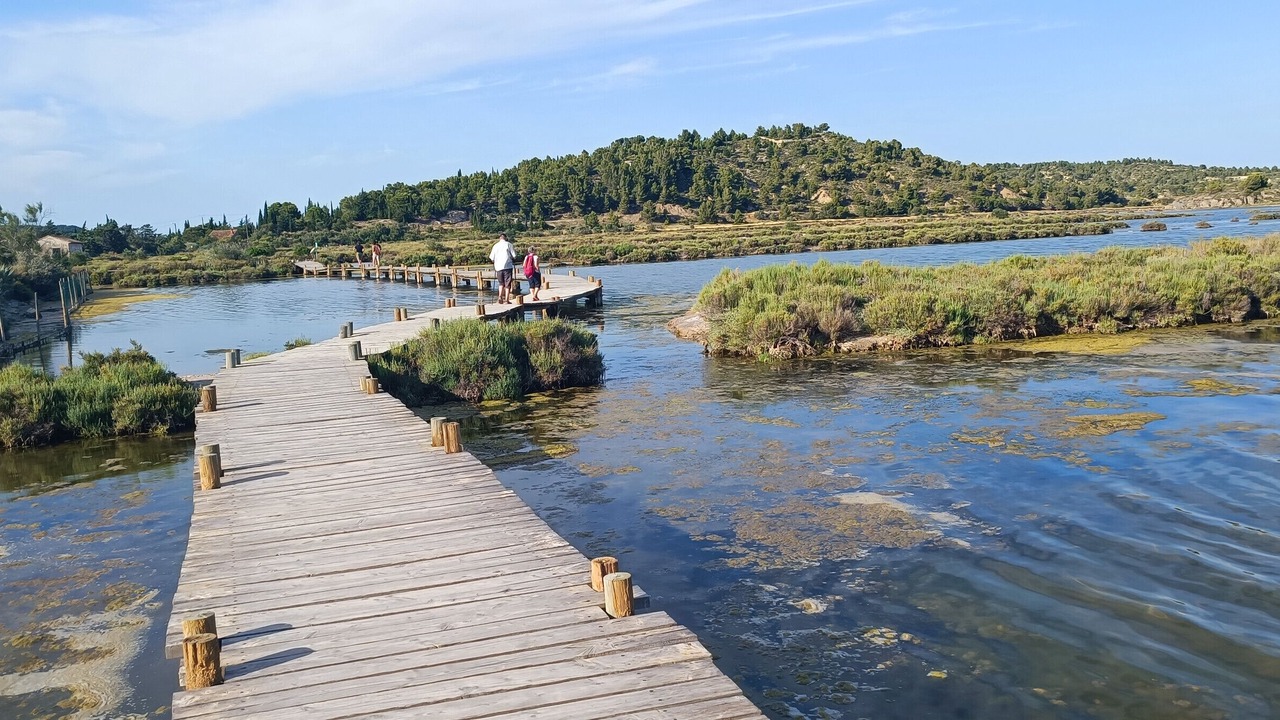 Photo of Others in Roquefort-des-Corbieres