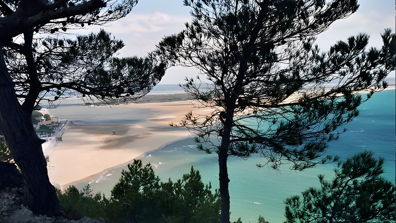 Photo of Others in Roquefort-des-Corbieres