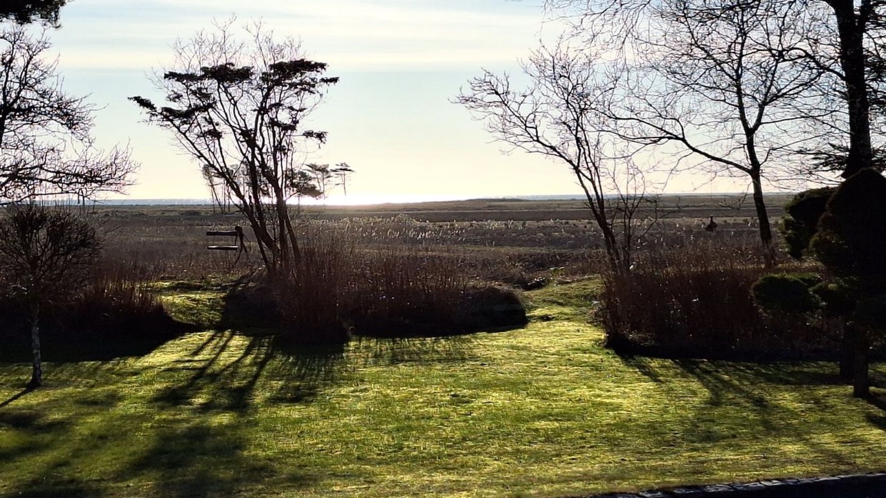 Photo of Others in Nordost