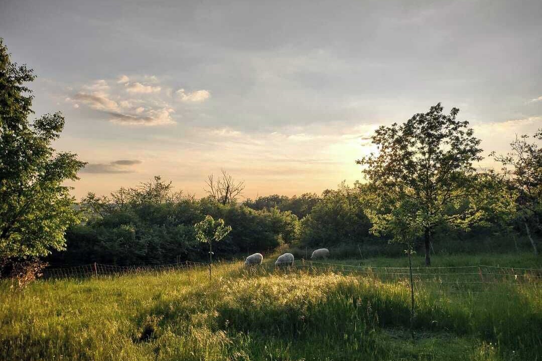 Photo of Others in Paulhiac