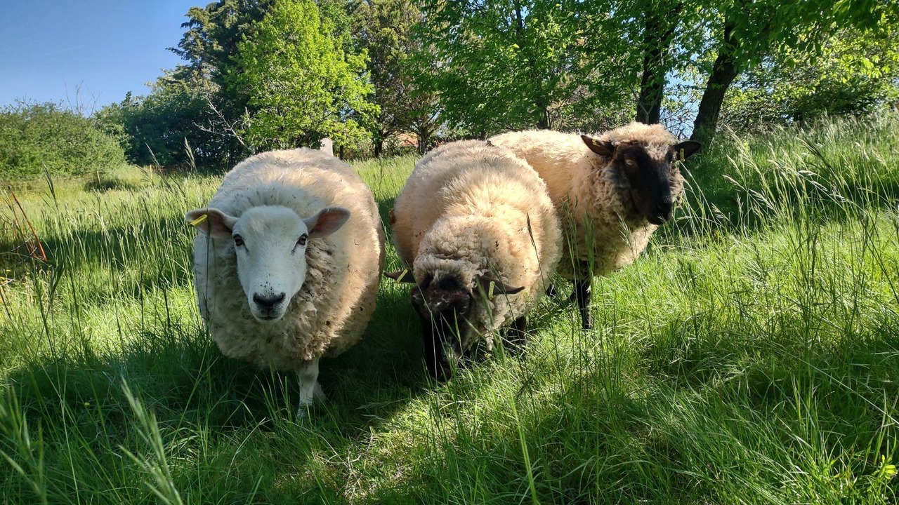 Photo of Others in Paulhiac