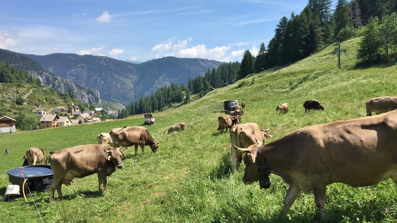 Photo of Others in Roubion