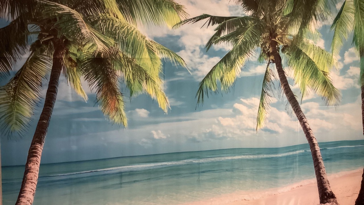 Photo of Others in Newton