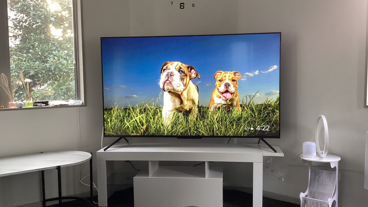 Photo of Others in Newton