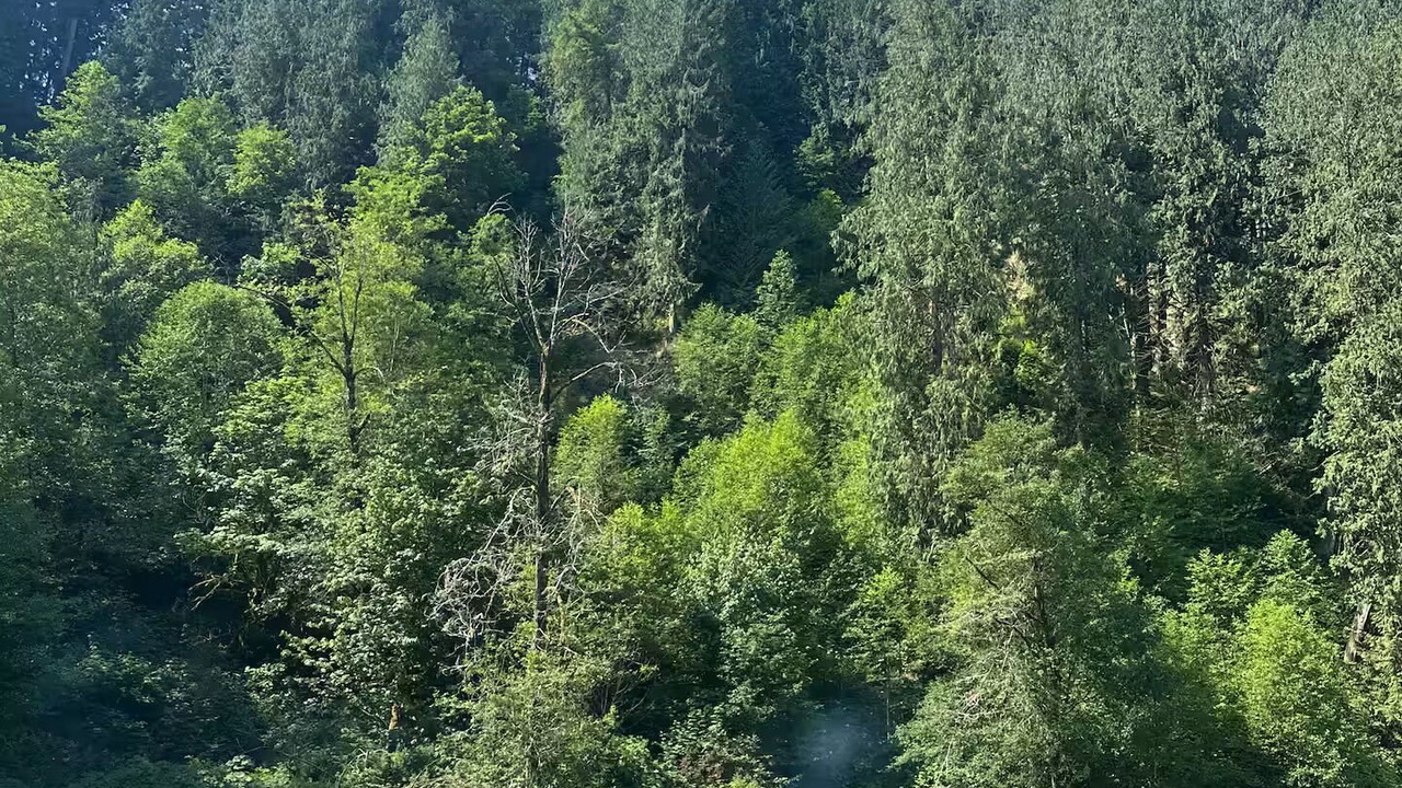 Photo of Others in Arlington