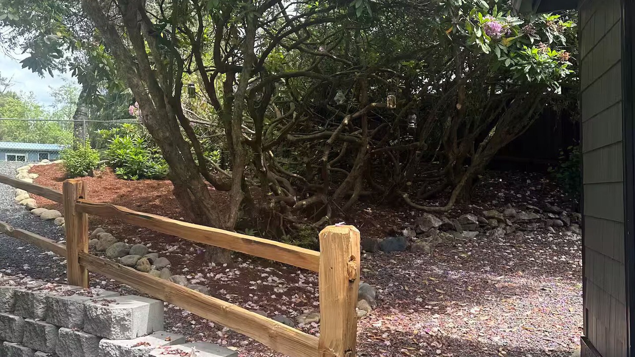 Photo of Outdoor in Arlington