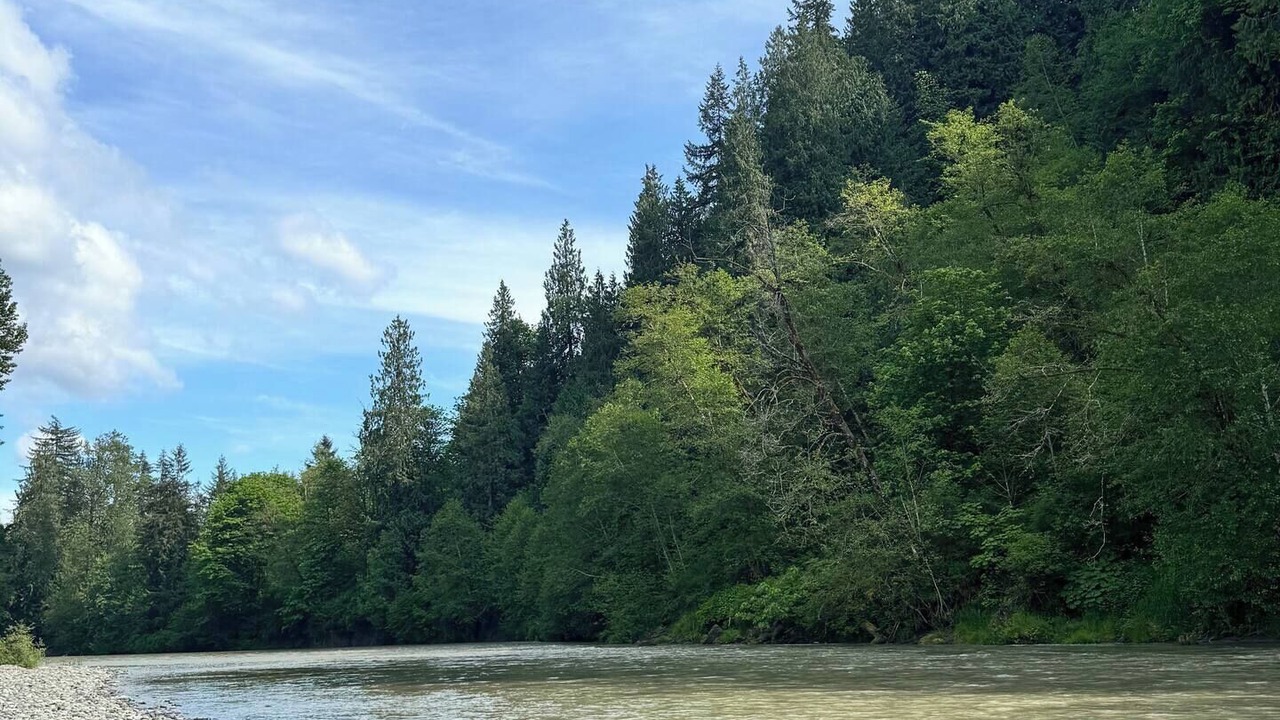 Photo of Others in Arlington