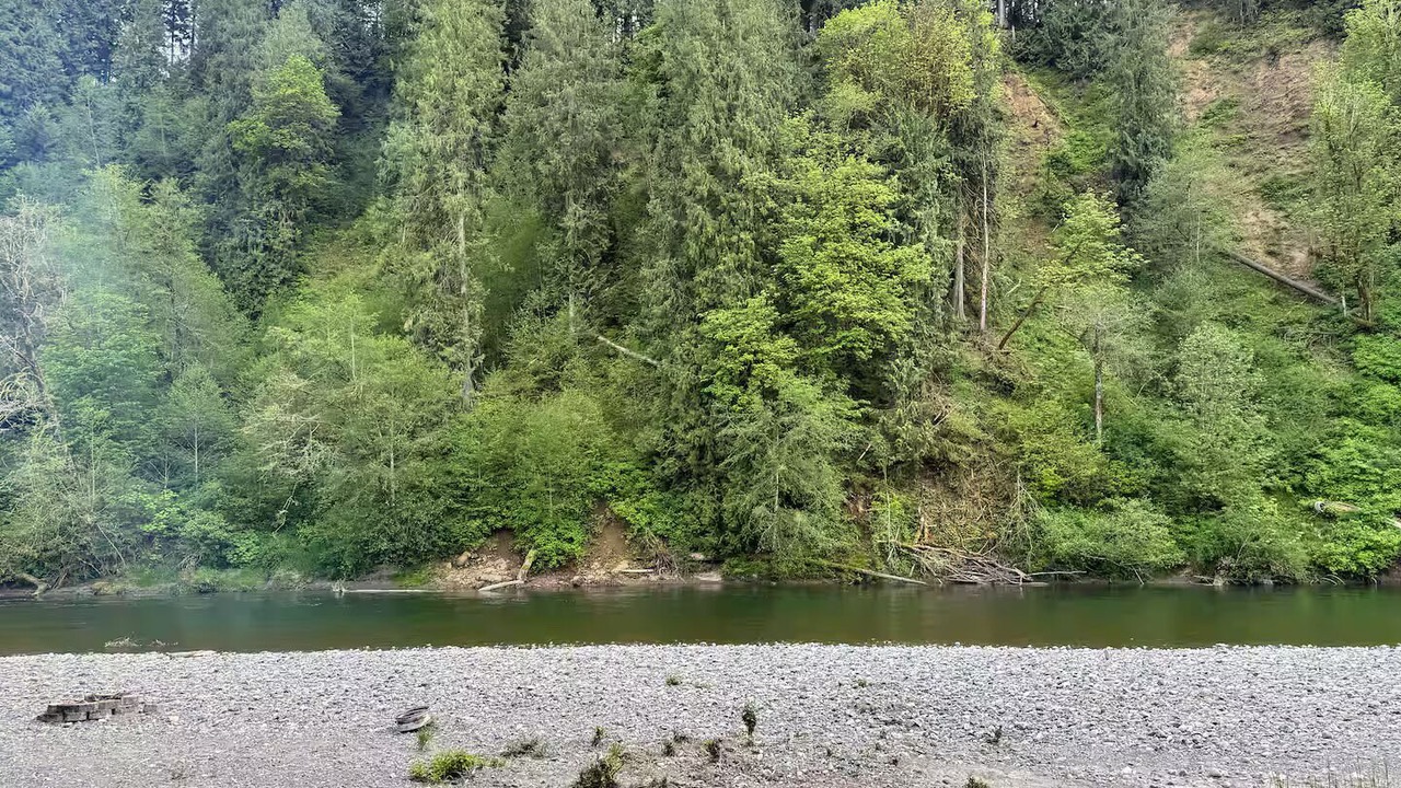 Photo of Others in Arlington