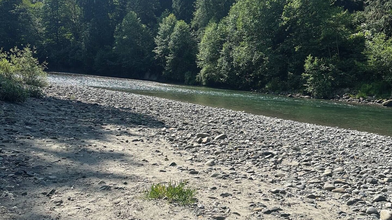 Photo of Others in Arlington