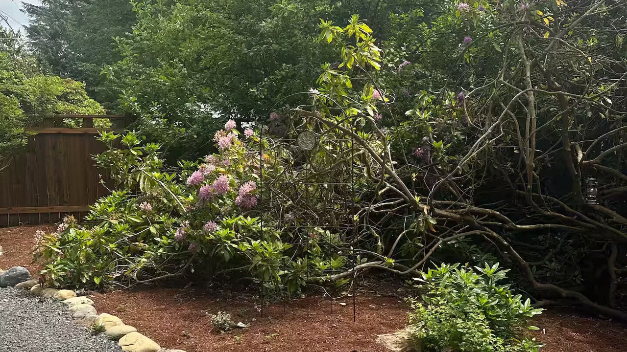 Photo of Outdoor in Arlington